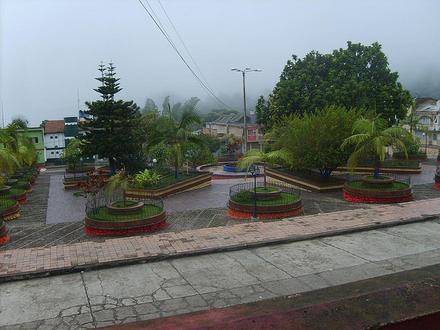Imagen de Pauna Imagen de Pauna
