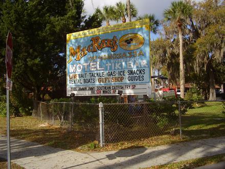 Bild von Homosassa Bild von Homosassa