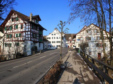 Immagine Grüningen