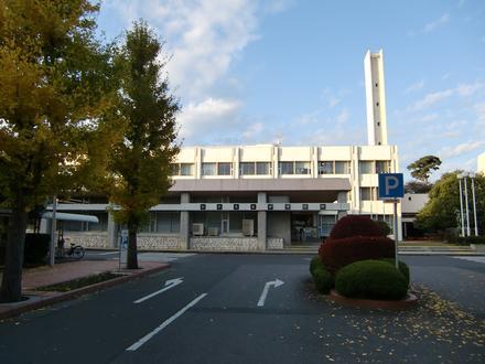 Immagine Hitachinaka Immagine Hitachinaka