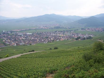 Immagine Sigolsheim Immagine Sigolsheim