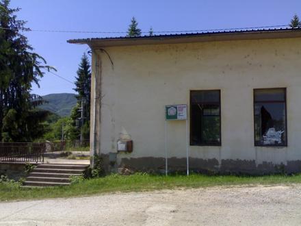 Slika Desić Slika Desić