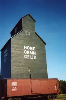 Image of Bellis, Alberta