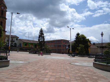 Imagen de Tuta