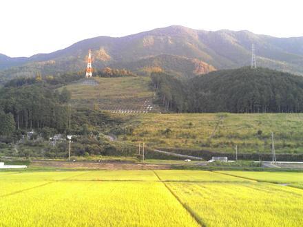 Imaxe de Ōzu