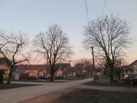 Slika Jarkovci Slika Jarkovci