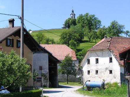 Immagine Paniqua