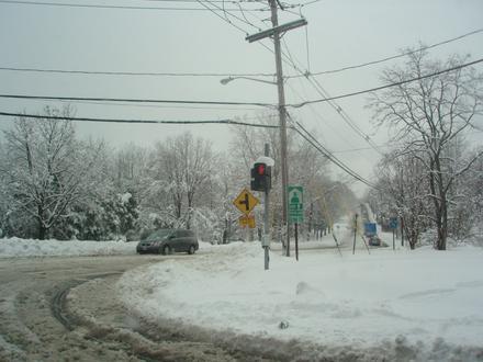 Imagen de Viola (Nueva York)