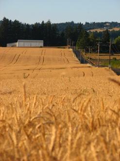 Image of West Union, Oregon