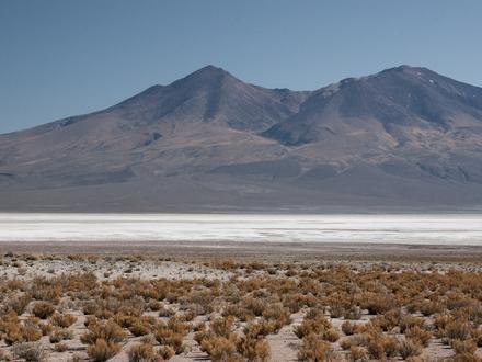 Image of Pelcoya Canton