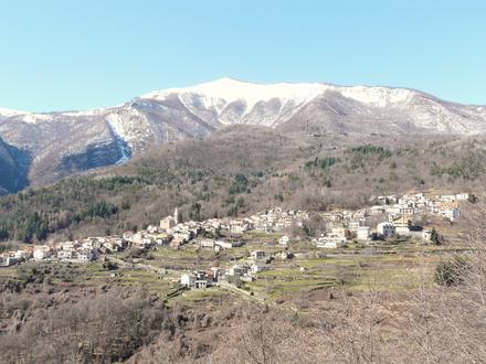 Immagine Mendatica Immagine Mendatica