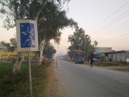 Image de Phalia