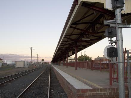 Bild von Dubbo