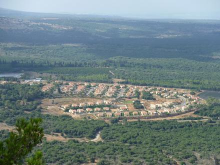 Image of Eilon Image of Eilon