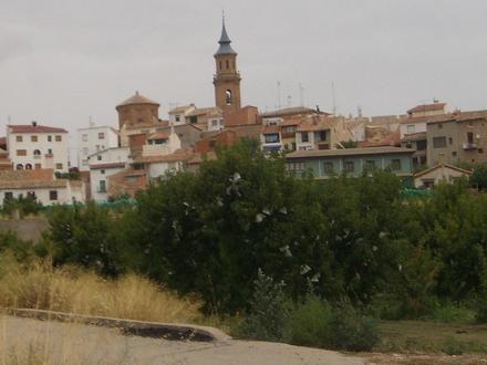 Imagen de Calanda