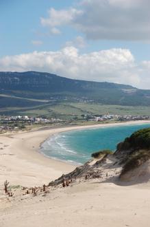 Bild von Bolonia
