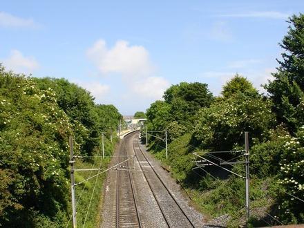 Immagine Stazione di Harmonstown