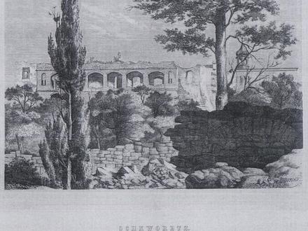 Immagine Škvorec