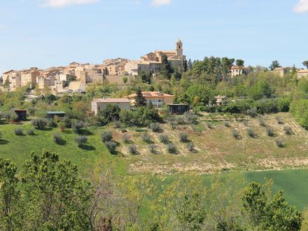 Immagine Monte Giberto