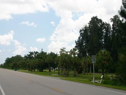 Image of Jerome, Florida Image of Jerome, Florida