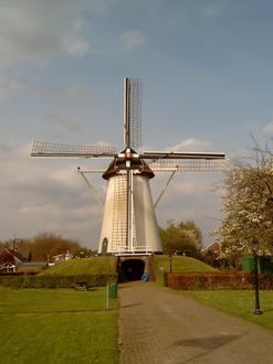 Image de Elden
