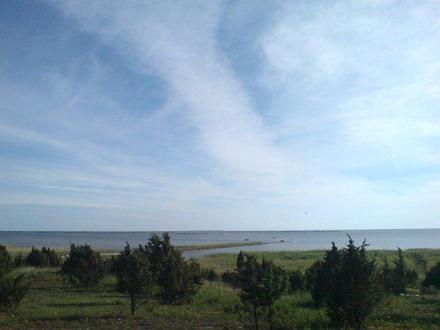 Image of Rumpo Image of Rumpo