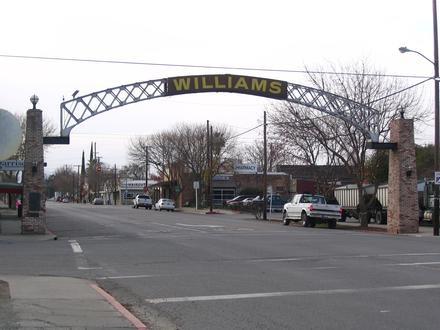 Imatge de Williams (Califòrnia)
