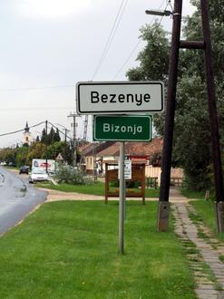 Slika Bizonja Slika Bizonja
