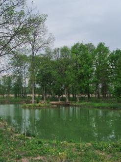 Slika Bardača