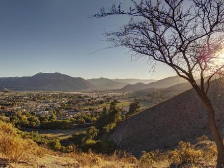 Image de Vicuña