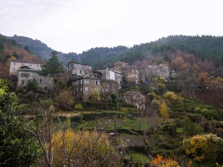 Imatge de Saliceto