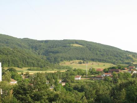 Image de Pavlica Image de Pavlica