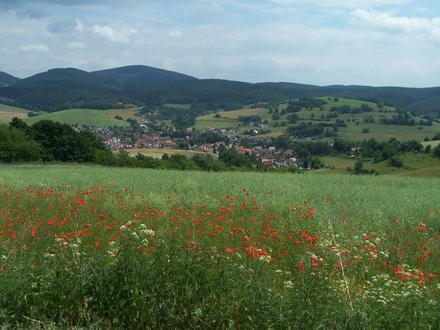 Afbeelding van Trusetal Afbeelding van Trusetal