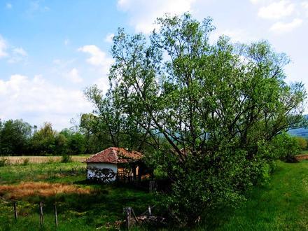 Slika Ždrelo Slika Ždrelo