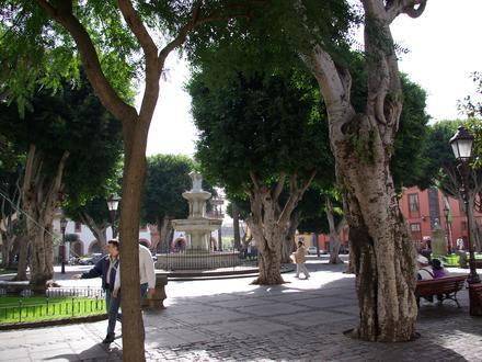 Bild på La Laguna Bild på La Laguna