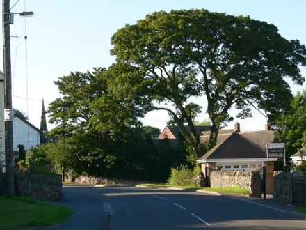 Image of Thornton, Leicestershire