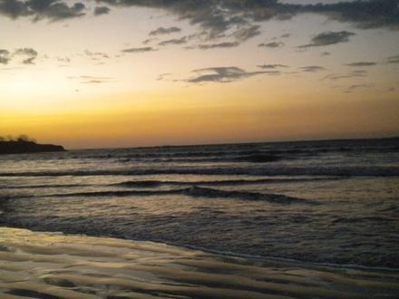 Bild von Tamarindo Bild von Tamarindo