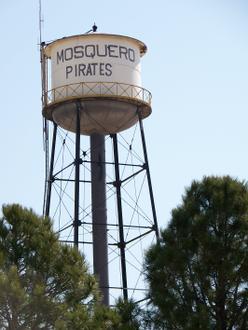 Image de Mosquero Image de Mosquero