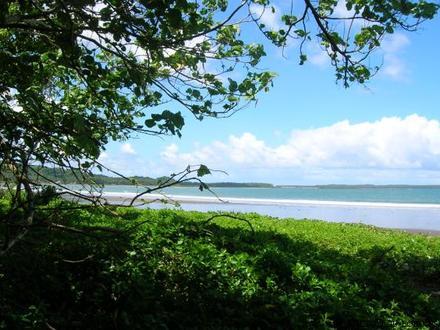 Imagen de Borongan