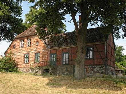 Immagine Dümmer