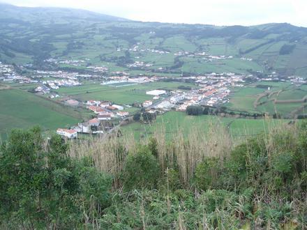 Bild von Flamengos