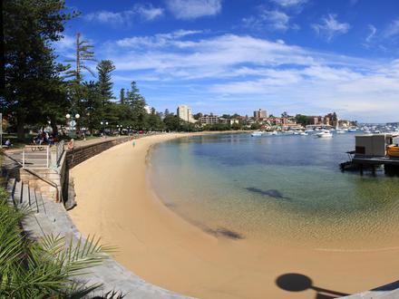 Bild von Manly Bild von Manly