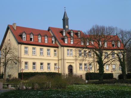 Sinsheim Image