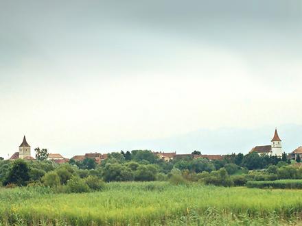 Bild von Avrig