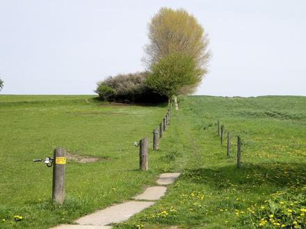 Image of Wittenbeck