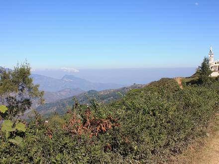 Image of Letefoho Subdistrict Image of Letefoho Subdistrict
