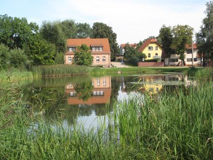Hohenstein Image