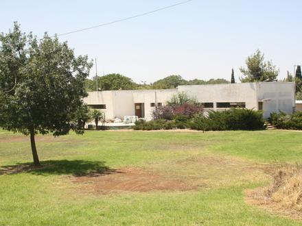 Image of Bar Giora