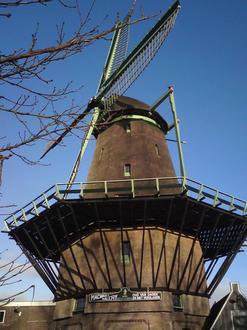 Image de Oosterblokker Image de Oosterblokker