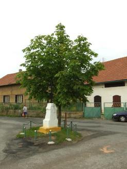 Immagine Bílichov Immagine Bílichov